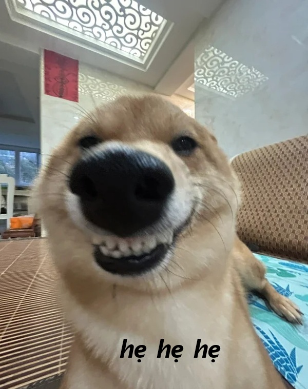 hẹ hẹ hẹ meme 15