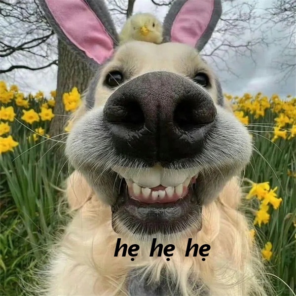 hẹ hẹ hẹ meme 27