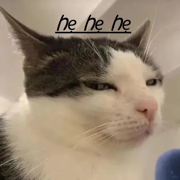 hẹ hẹ hẹ meme 35