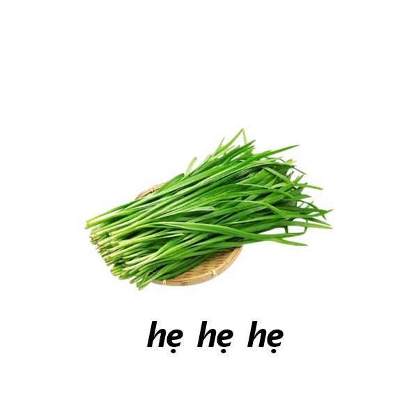 hẹ hẹ hẹ meme 5