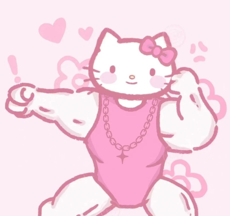 hello kitty cơ bắp meme 27