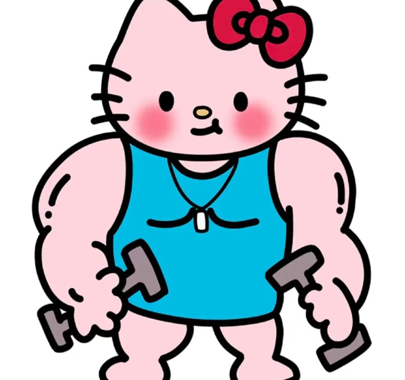 hello kitty cơ bắp meme 29