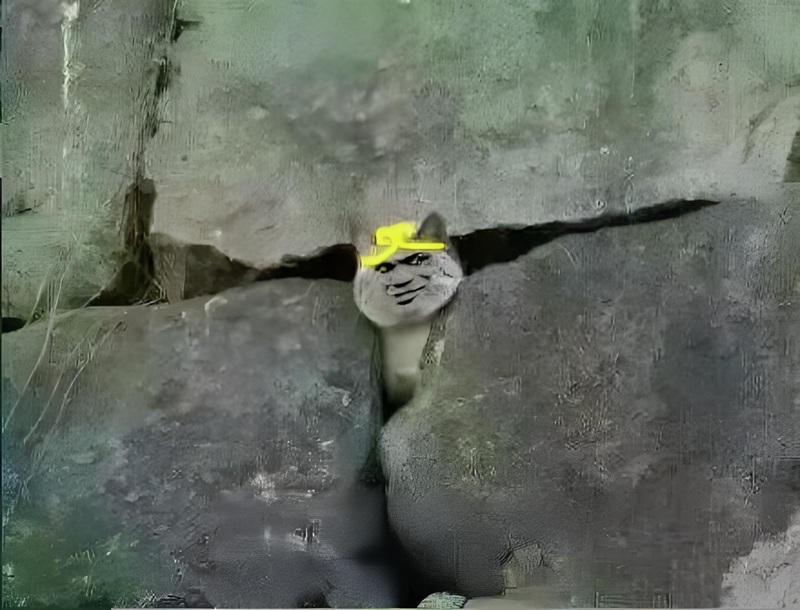 hình tôn ngộ không meme