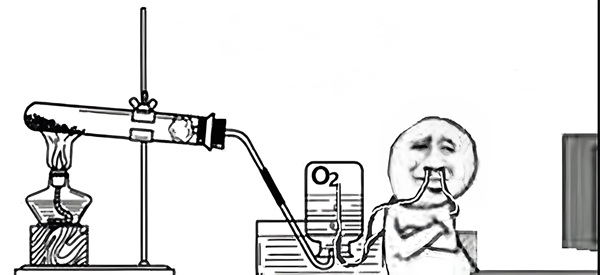 khỉ thở oxy meme