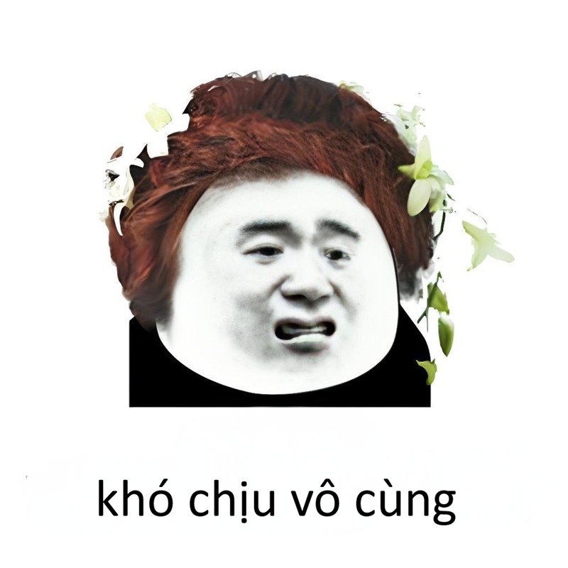 khó chịu vô cùng meme 15