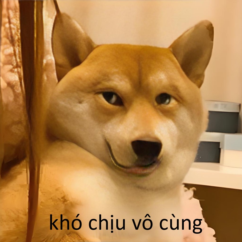 khó chịu vô cùng meme 16