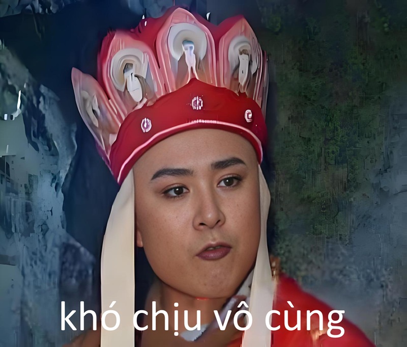 khó chịu vô cùng meme 17