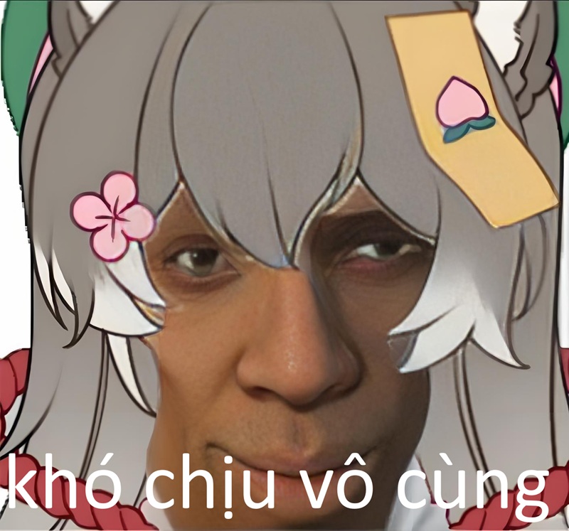 khó chịu vô cùng meme 20