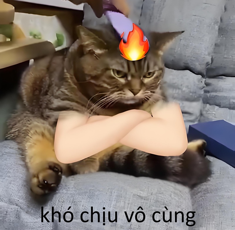 khó chịu vô cùng meme 23