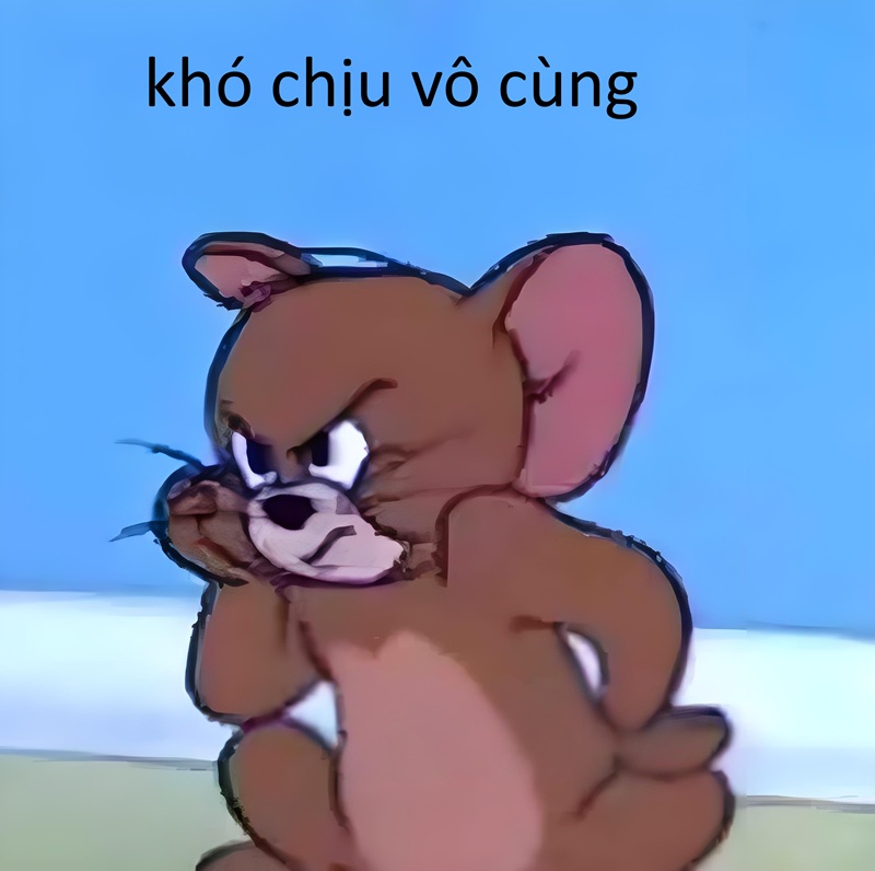 khó chịu vô cùng meme 24