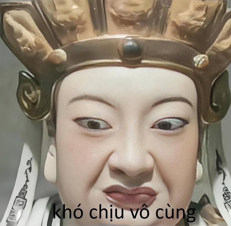khó chịu vô cùng meme 25
