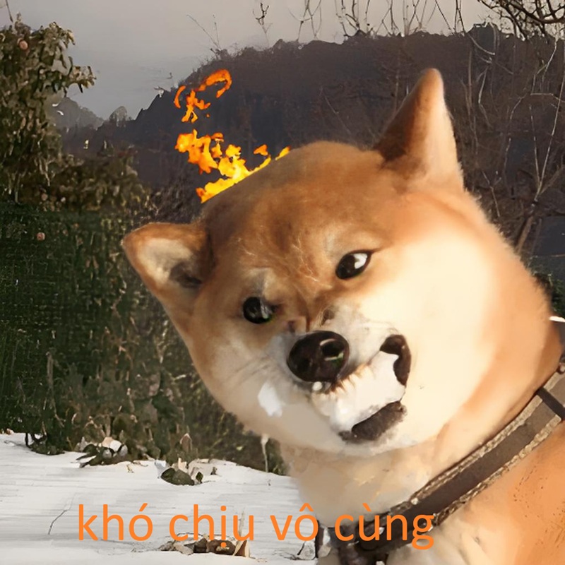 khó chịu vô cùng meme 35
