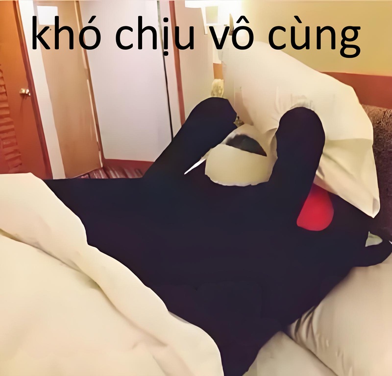 khó chịu vô cùng meme 5