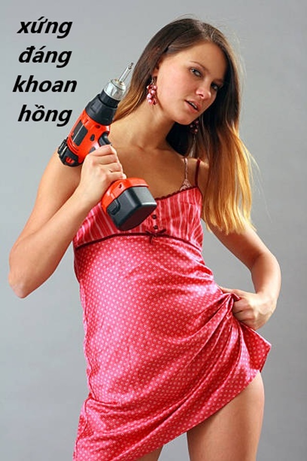 khoan hồng meme 23