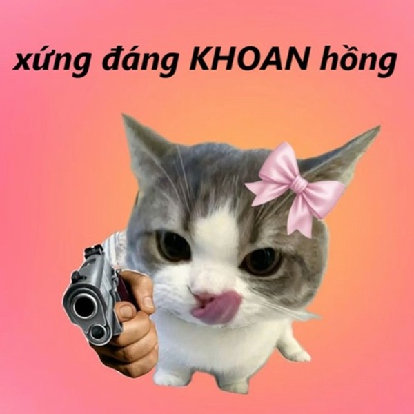 khoan hồng meme 31