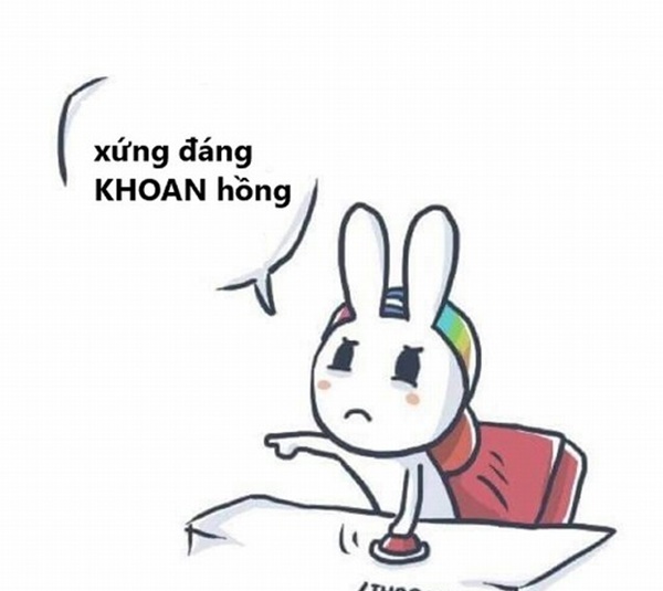 khoan hồng meme 34