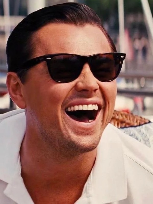 leonardo dicaprio meme 11