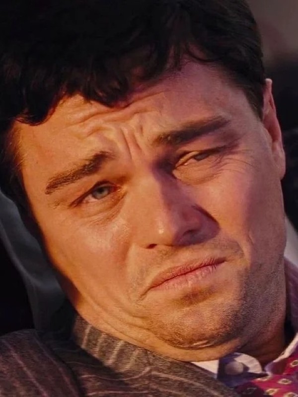 leonardo dicaprio meme 14