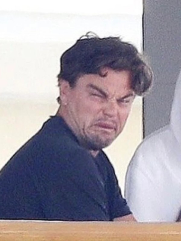 leonardo dicaprio meme 22
