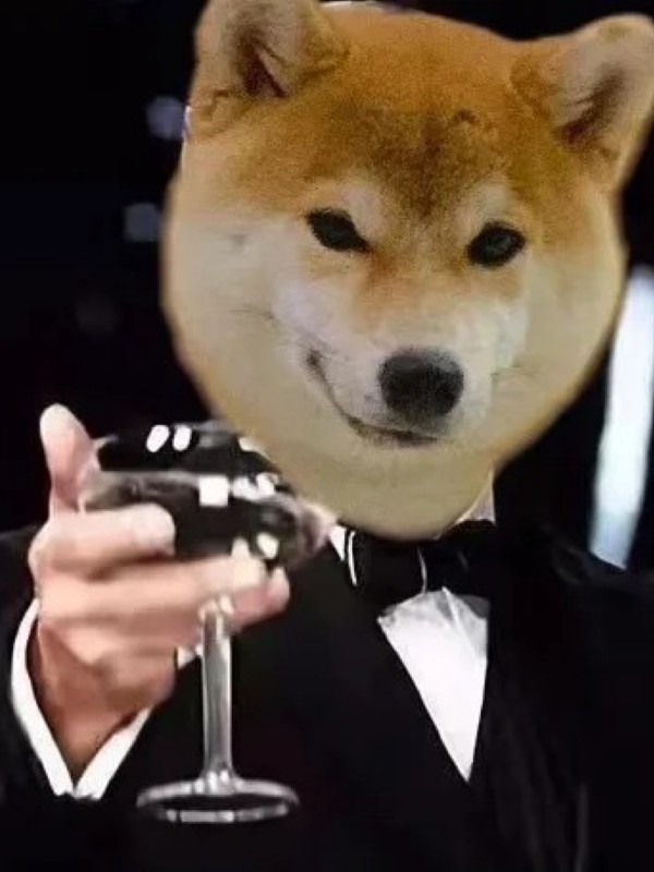 leonardo dicaprio meme 23