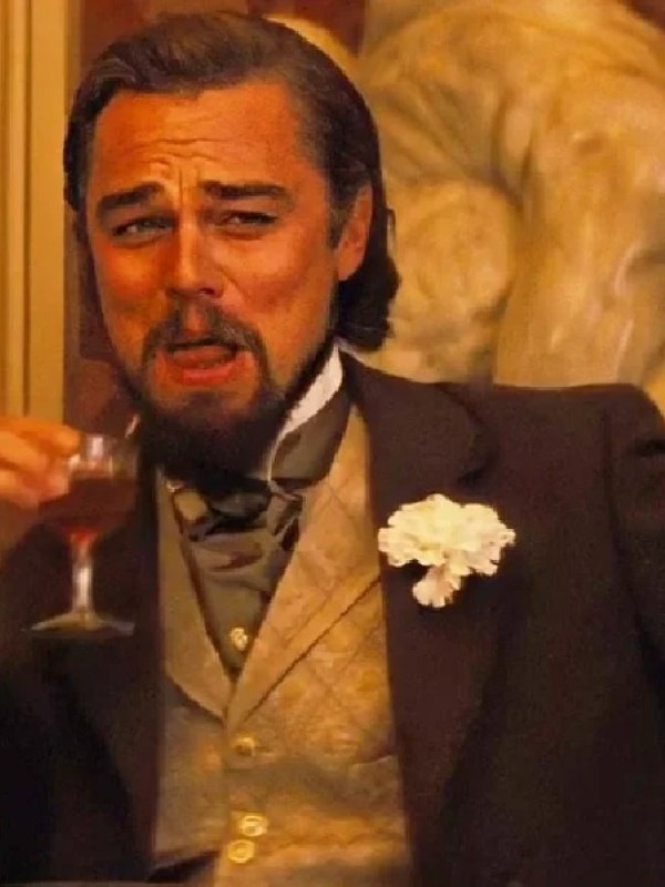 leonardo dicaprio meme 5
