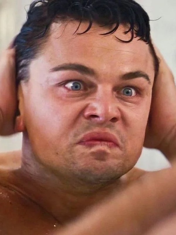 leonardo dicaprio meme 6