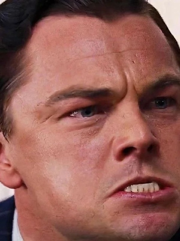 leonardo dicaprio meme 7