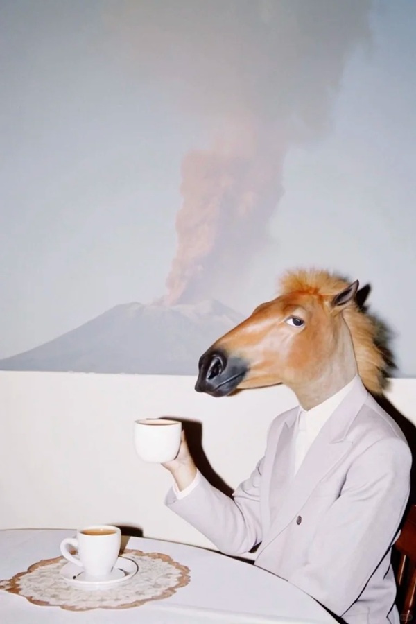 mã đáo thành công meme 25