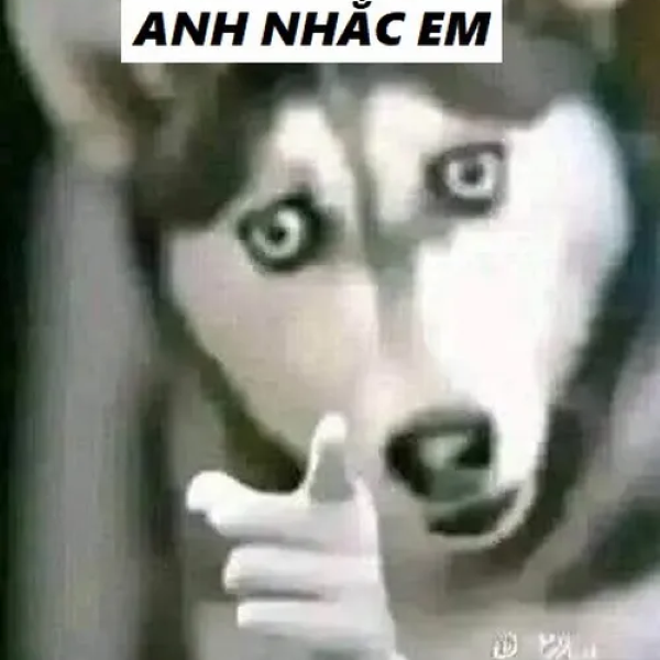 meme anh nhắc em meme