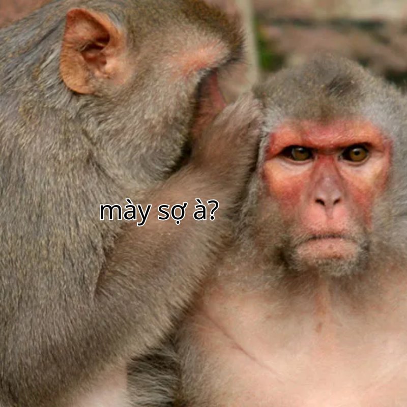 meme bạn sợ à 12