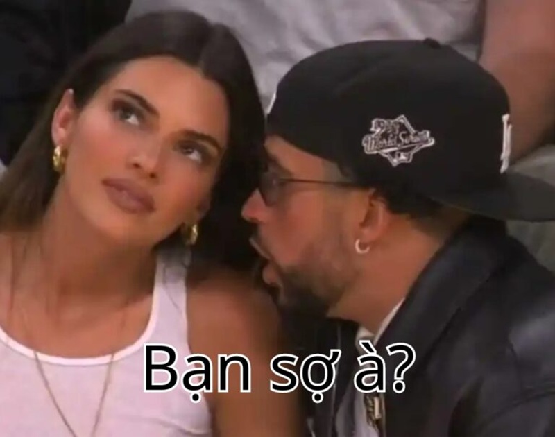 meme bạn sợ à 14