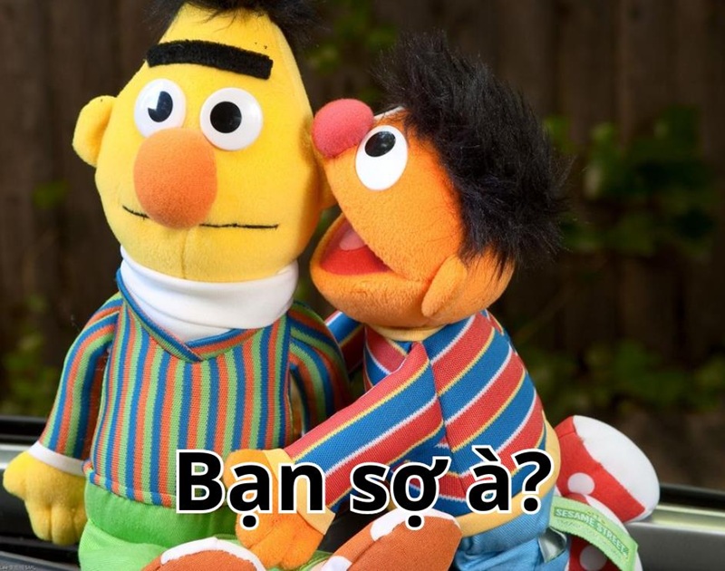meme bạn sợ à 19