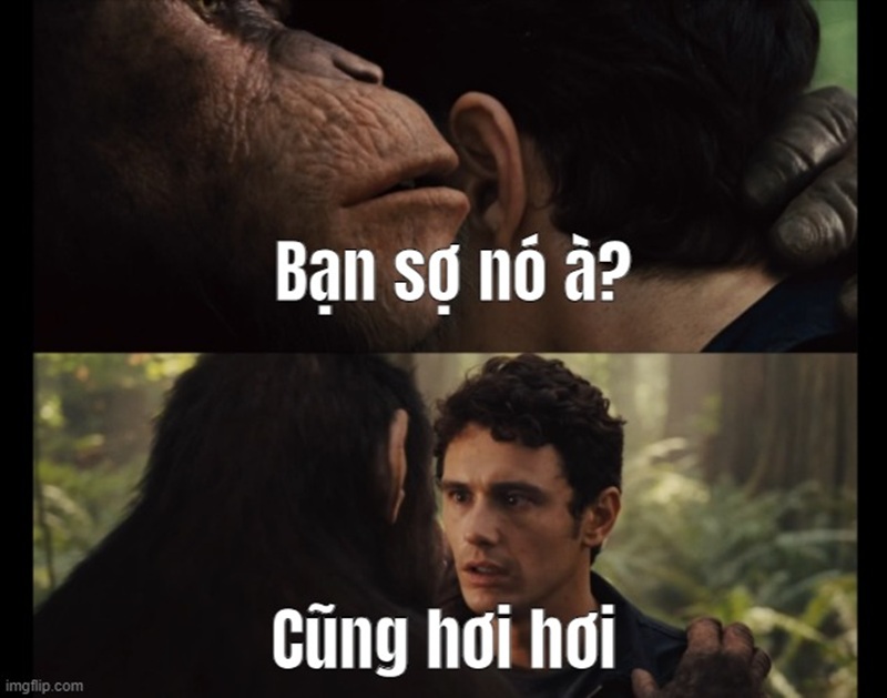 meme bạn sợ à 21