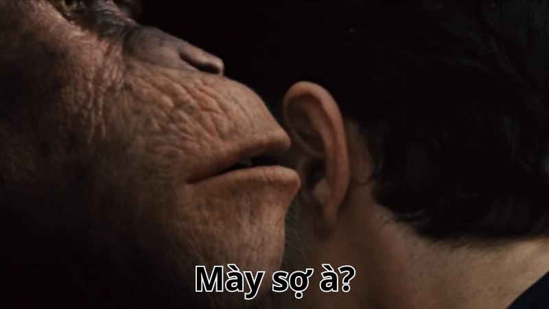 meme bạn sợ à 28