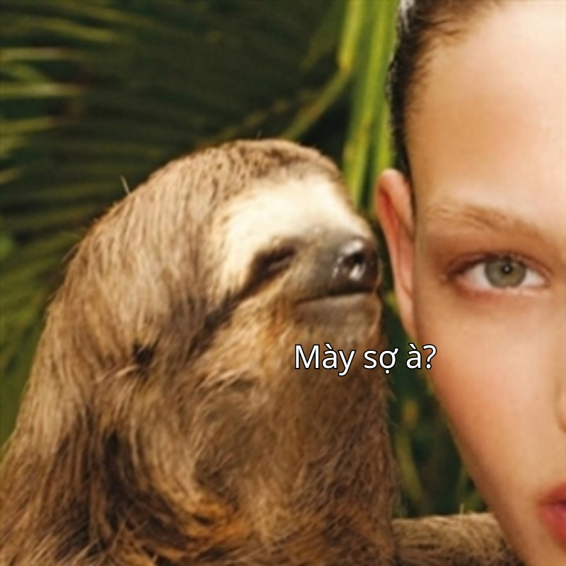meme bạn sợ à 36