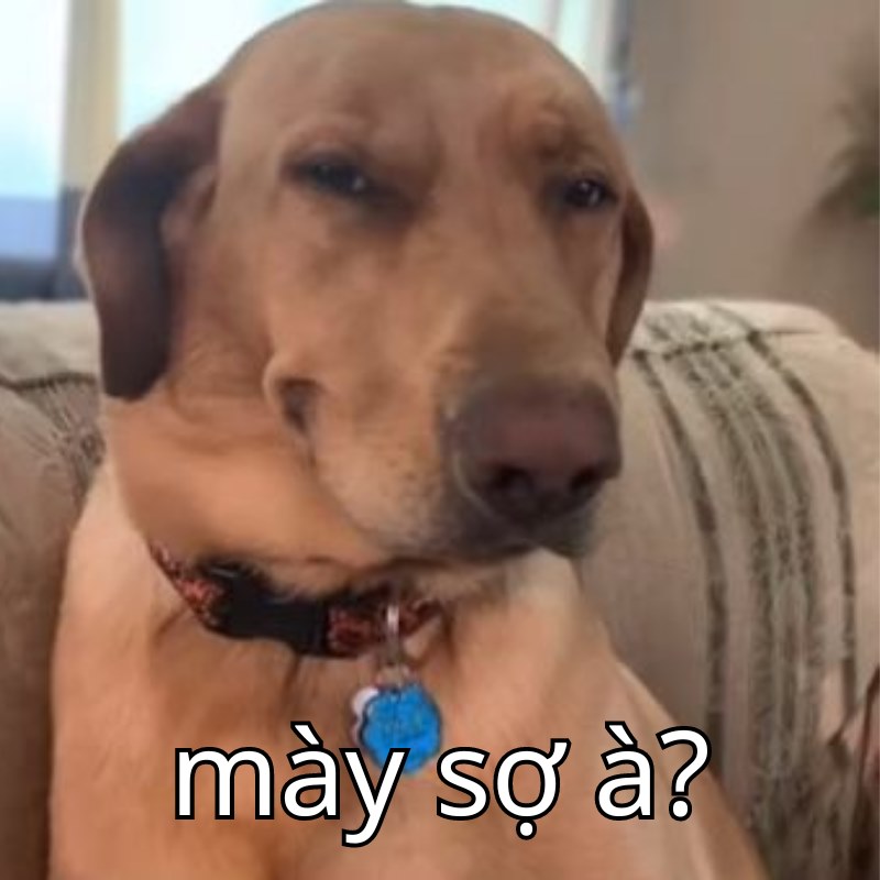 meme bạn sợ à 6