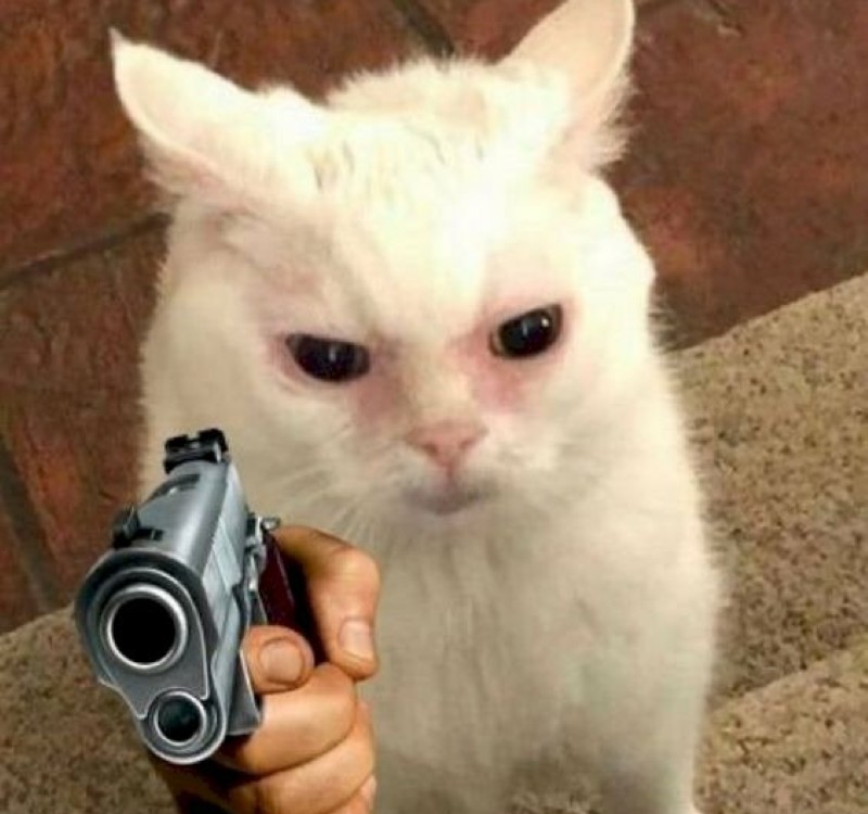 meme bắn súng 1