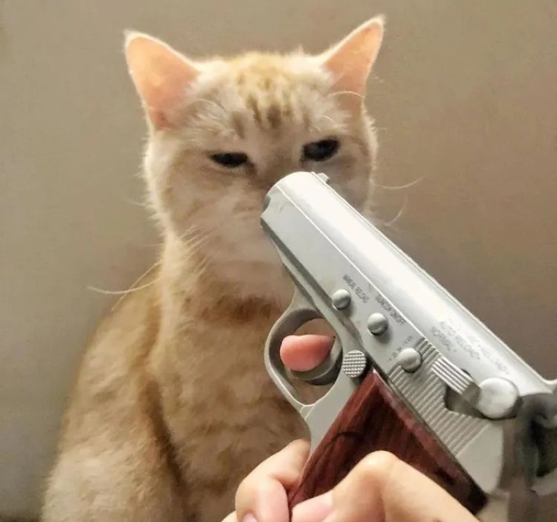 meme bắn súng 10