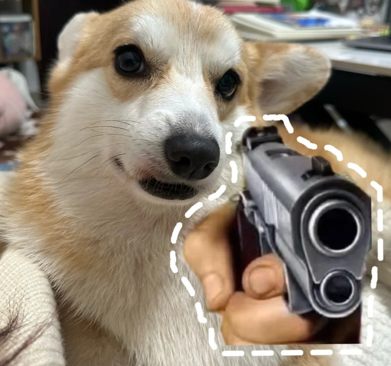 meme bắn súng 19