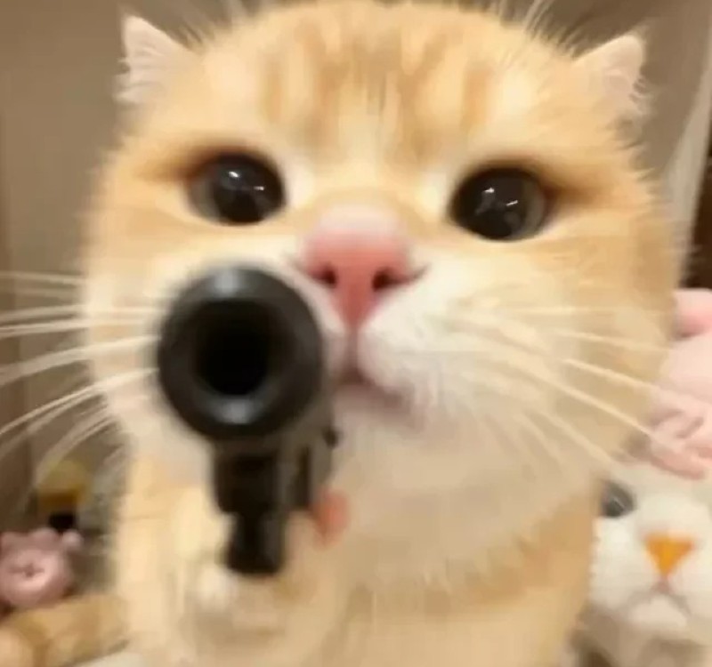 meme bắn súng 21