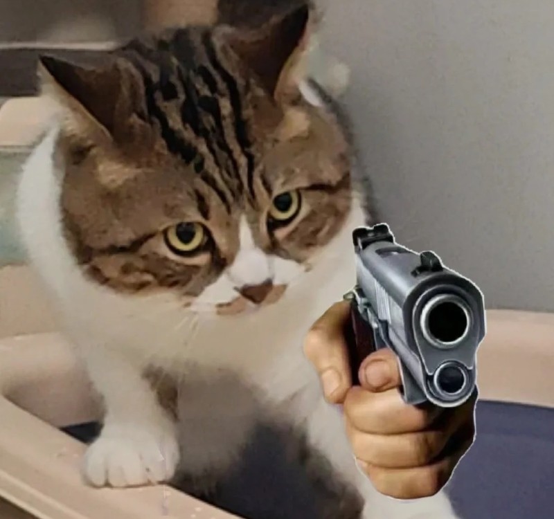 meme bắn súng 26