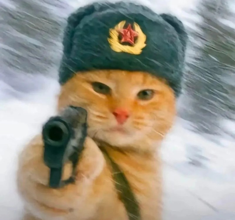 meme bắn súng 29