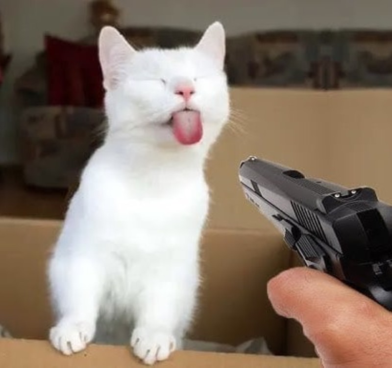 meme bắn súng 3