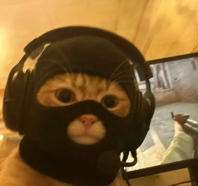 meme bắn súng 30