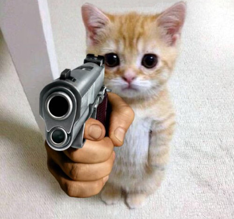 meme bắn súng 4