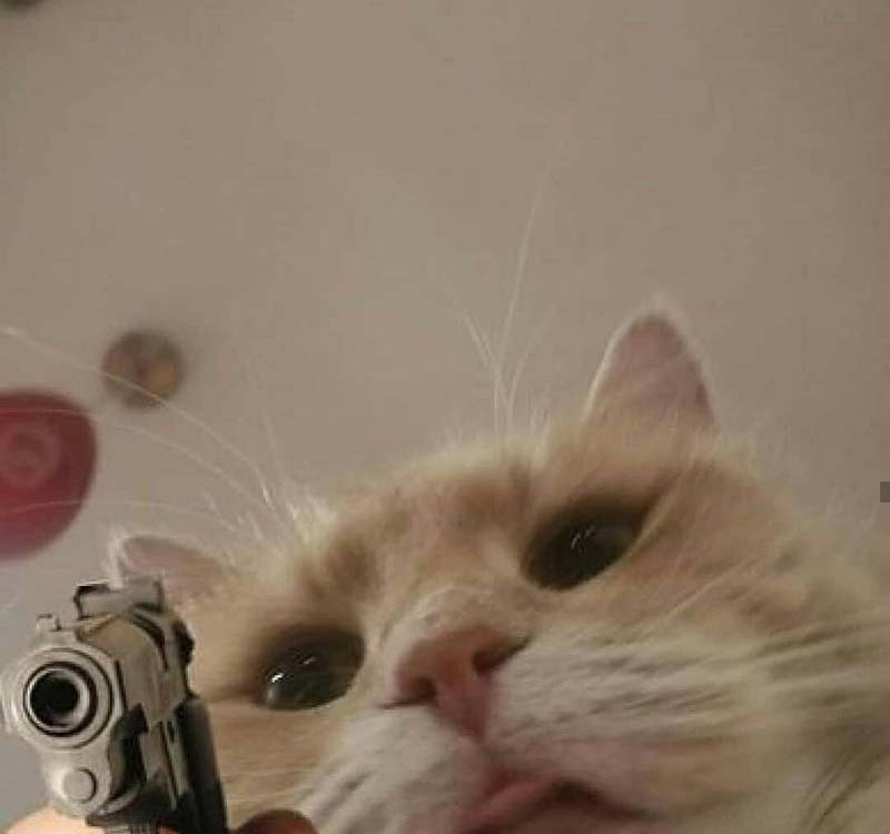 meme bắn súng 8