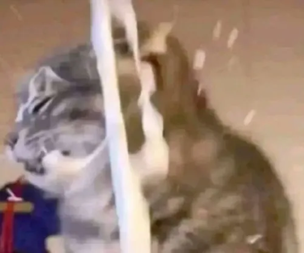 meme bắn tùm lum 11