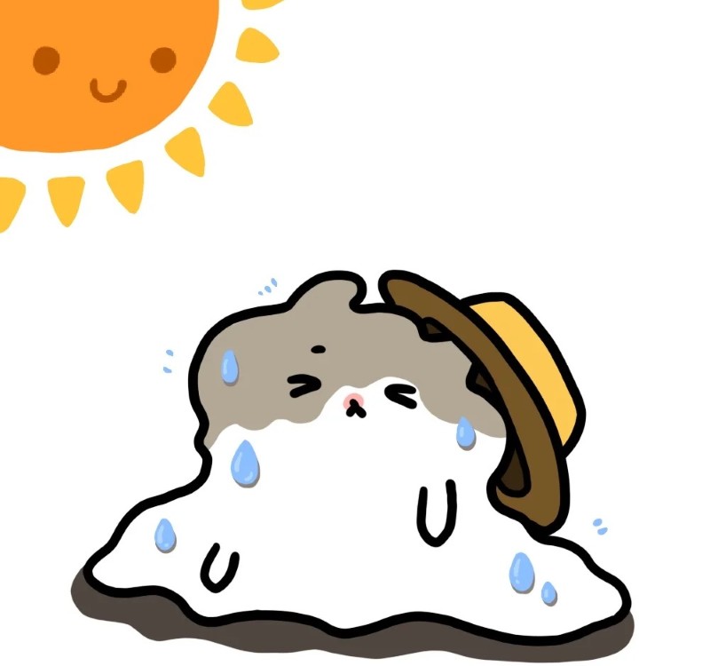 meme biến mất 27