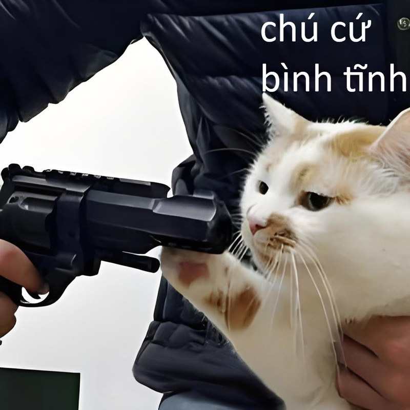 meme bình tĩnh 12