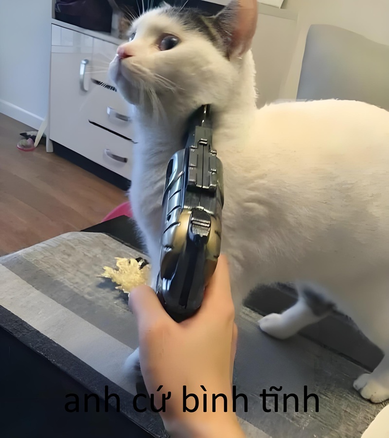meme bình tĩnh 22